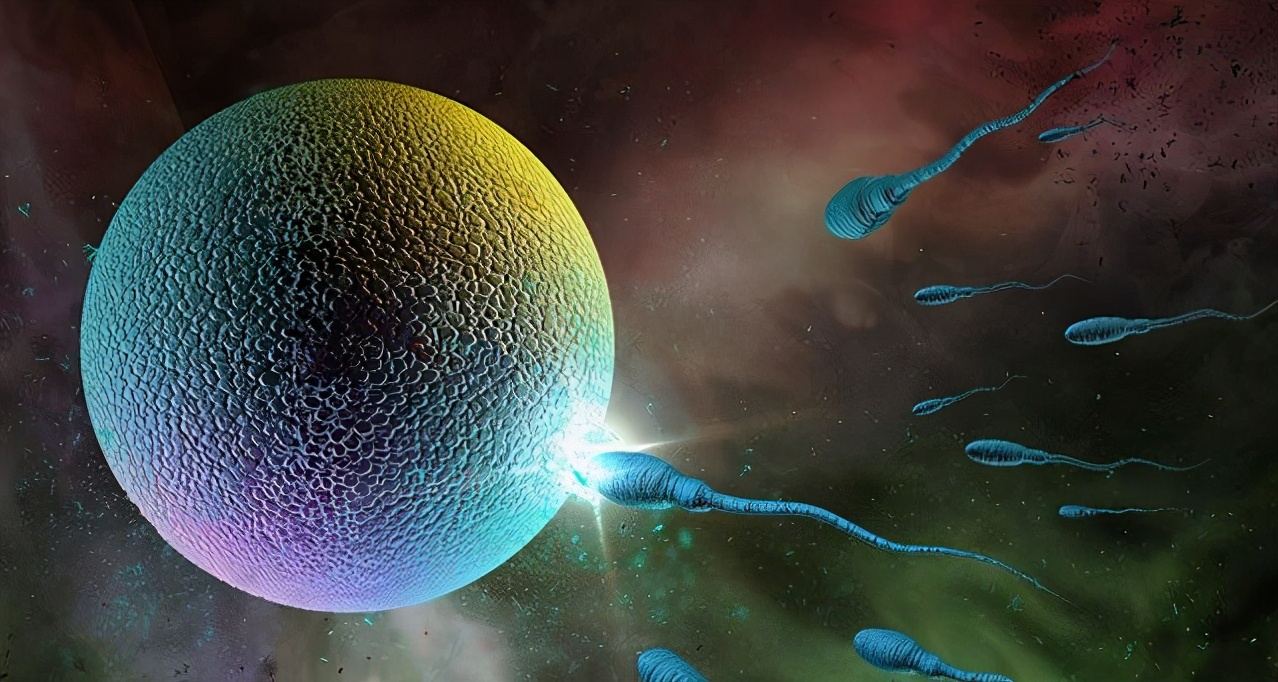 为什么怀孕是从最后一次月经算,为什么怀孕是从月经开始那天算起