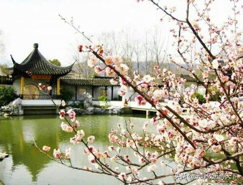 无锡梅园赏梅留念,无锡荣氏梅园简介