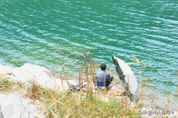夏季几点钓鱼鱼容易开口,夏季高温钓鱼不开口