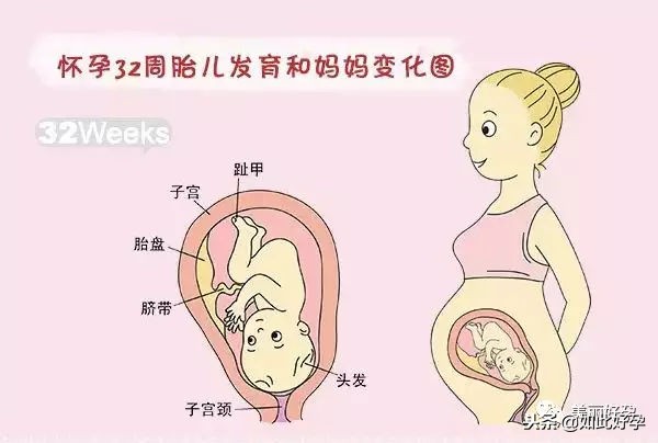 孕期抓住了胎儿手脚,孕期抓住二次发育的机会