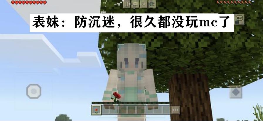 我的世界防沉迷篇攻略图文,我的世界防沉迷坑哭了