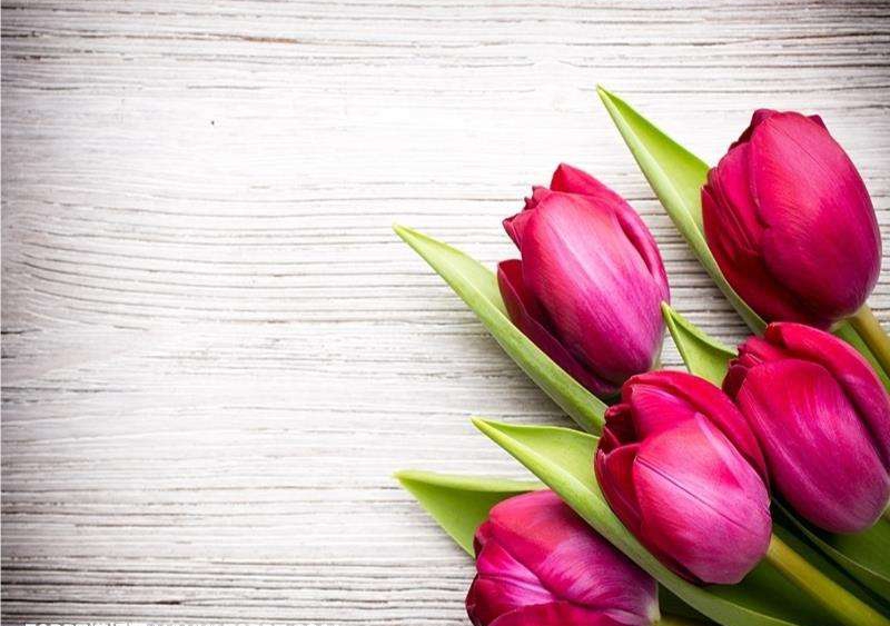 刘墉之子刘轩书籍,刘墉之子刘轩简介