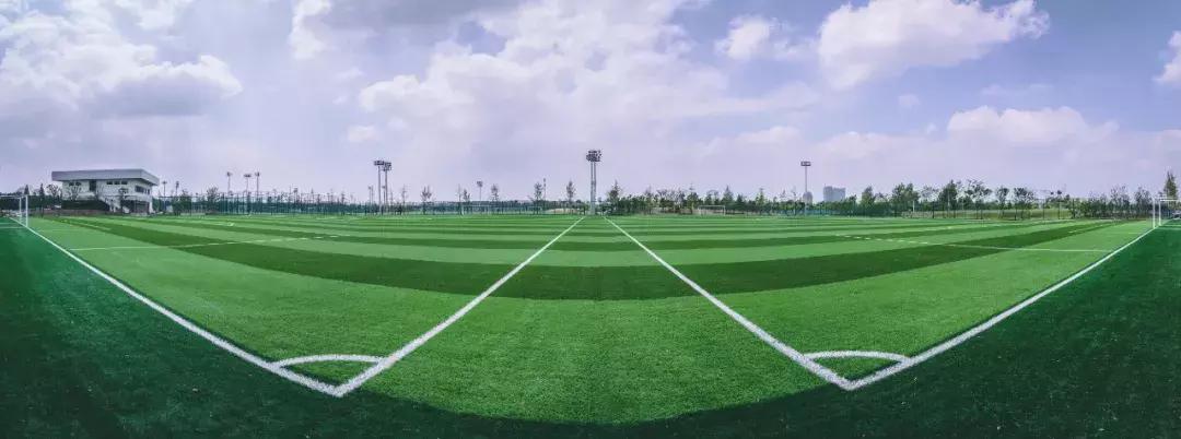 上海市民体育公园足球场多少钱,公园绿地建设足球场