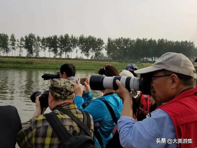 浍沟镇鸬鹚文化节,灵璧鸬鹚捕鱼节