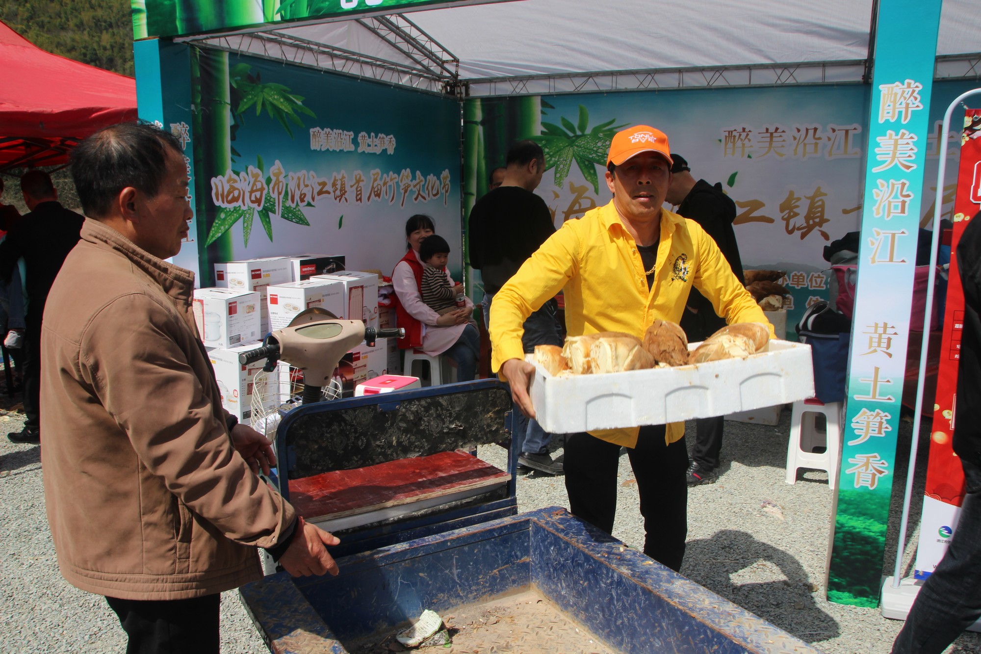 临海黄土山竹笋,浙江竹笋哪里最好