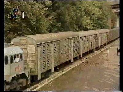 三趟快车|不为人知的“赶车人”(二)