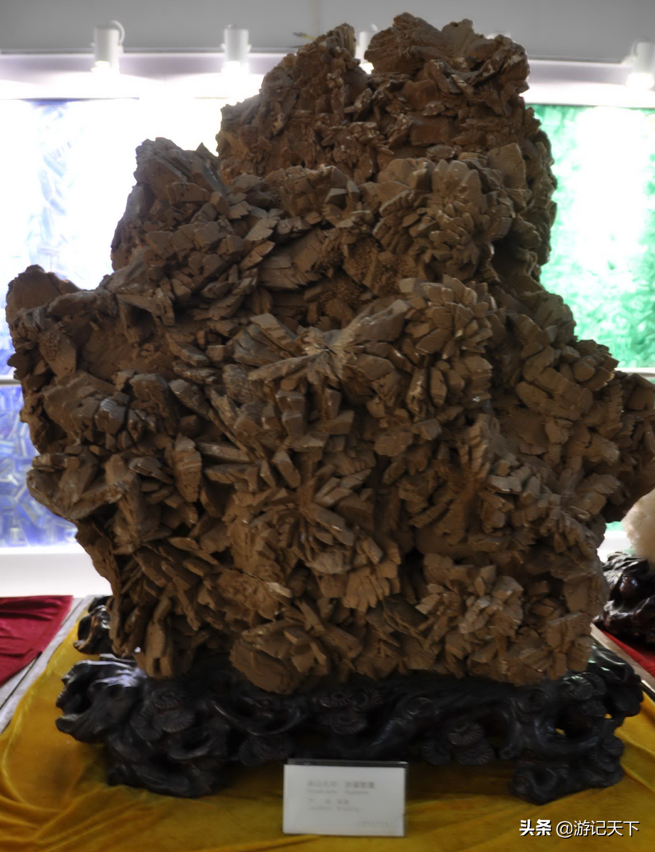 参观上海东方地质科普馆,上海东方地质科普馆需要预约吗