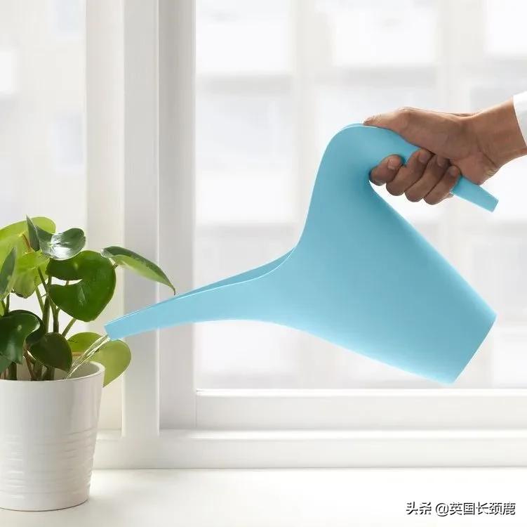 英国家具哪里买便宜,英国房屋家具