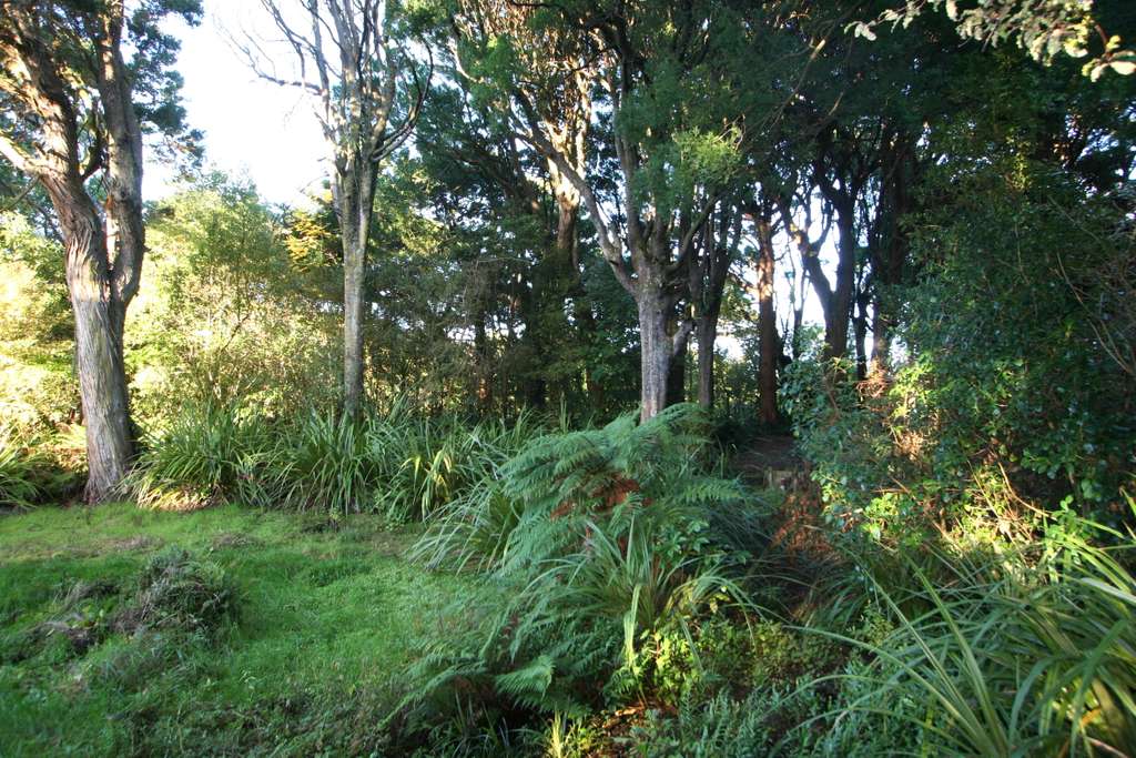 100万人民币在新西兰,100万在新西兰能买到什么车