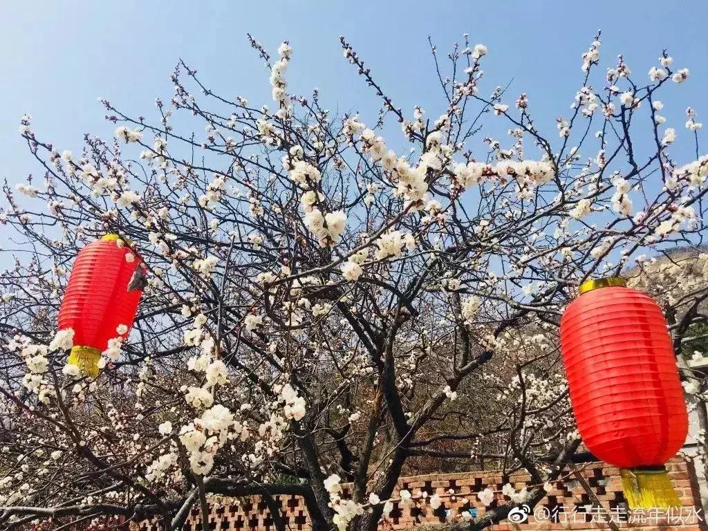 威海景点免费开放,威海拥军卡景点免费