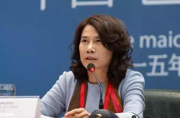 董明珠说不允许自己犯错,董明珠说自己绝不会犯错