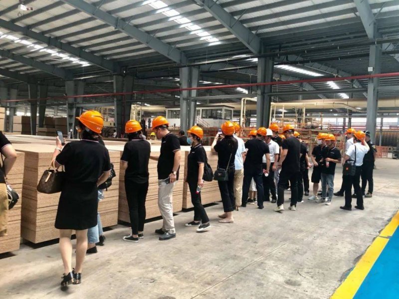 朱亚文代言客来福的视频,朱亚文广告代言客来福