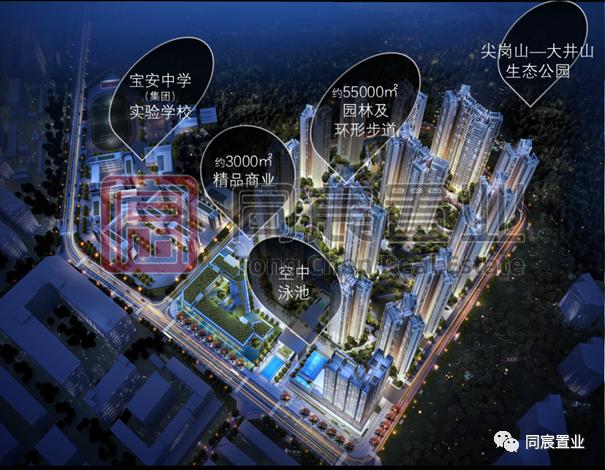 实至名归的学霸加工厂，宝安中学为何受追捧？