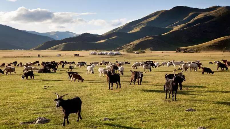 蒙古国最美丽的自然风光,美丽的蒙古国草原风光无限