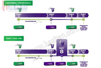 繁殖管理——使用双PG同期发情提高繁殖力