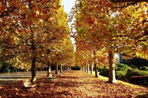 法国和哪个国家是一个国家,法国是哪个半球的国家