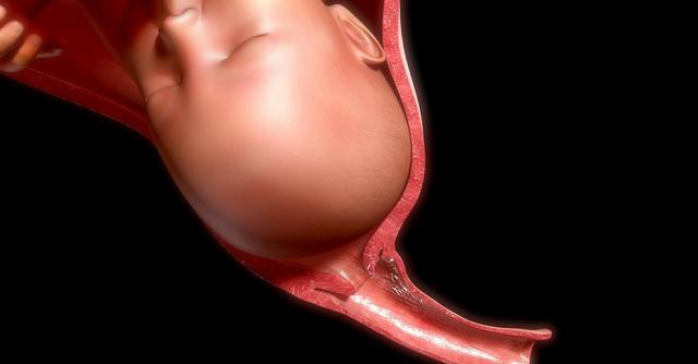 孕妈孕检必须做的,孕妈要做宫颈筛查