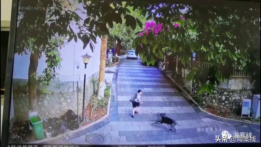 小男孩被狗追赶找爸爸原视频,小男孩遭大黑狗追