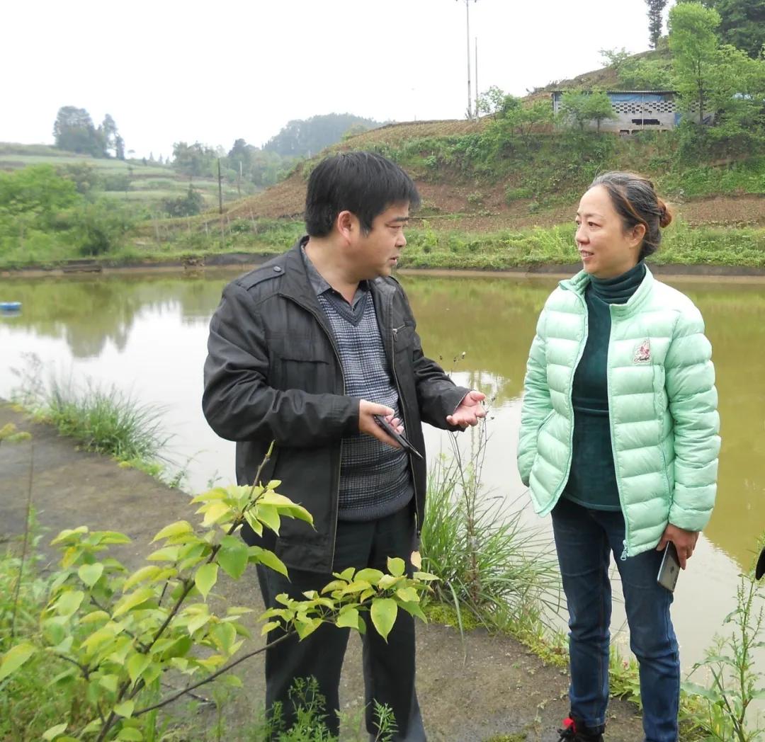 竹舍乌鱼庄：一条鱼搅活的乡村特色游