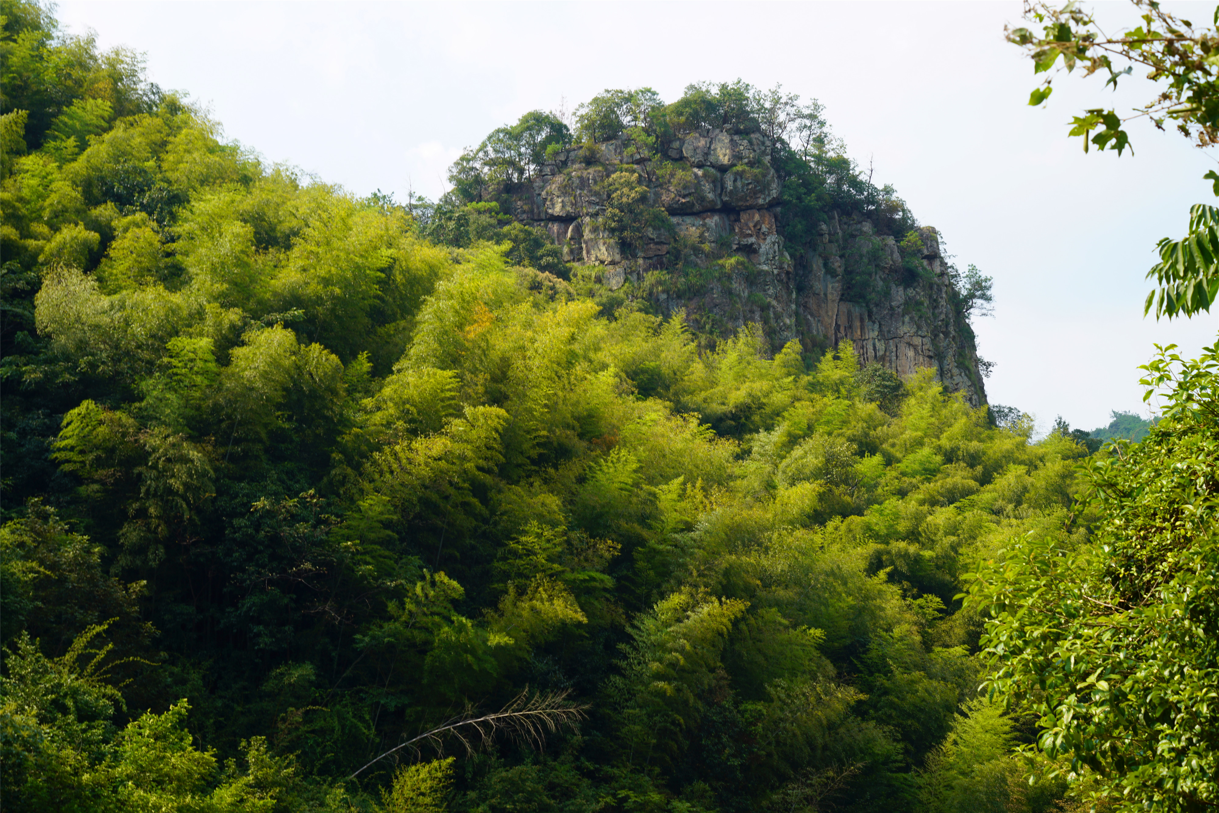新昌这条溪，近来大火，古时是*私走**食盐秘密通道之一，人称十八渡