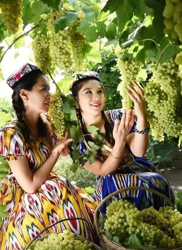 *疆新**瓜果地图？开吃