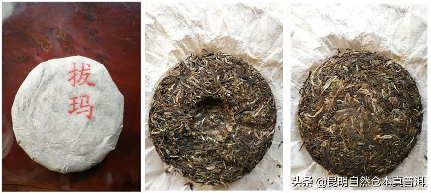 果香浓郁、茶汤柔顺——拔玛，南糯山最好的茶