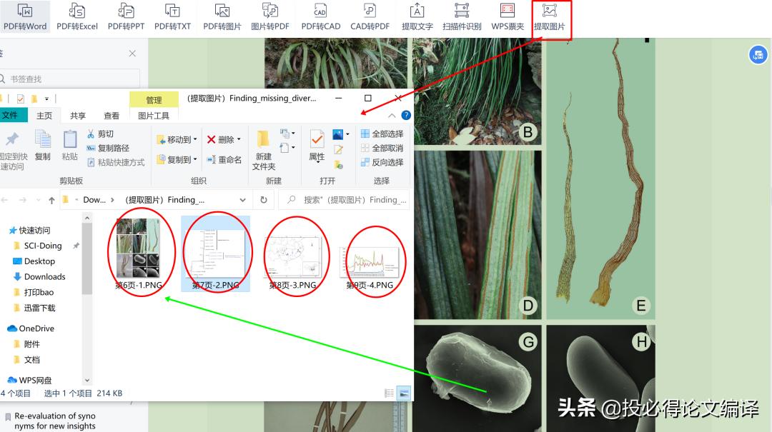 最好用最干净的pdf阅读器,好用的免费pdf阅读器冷门
