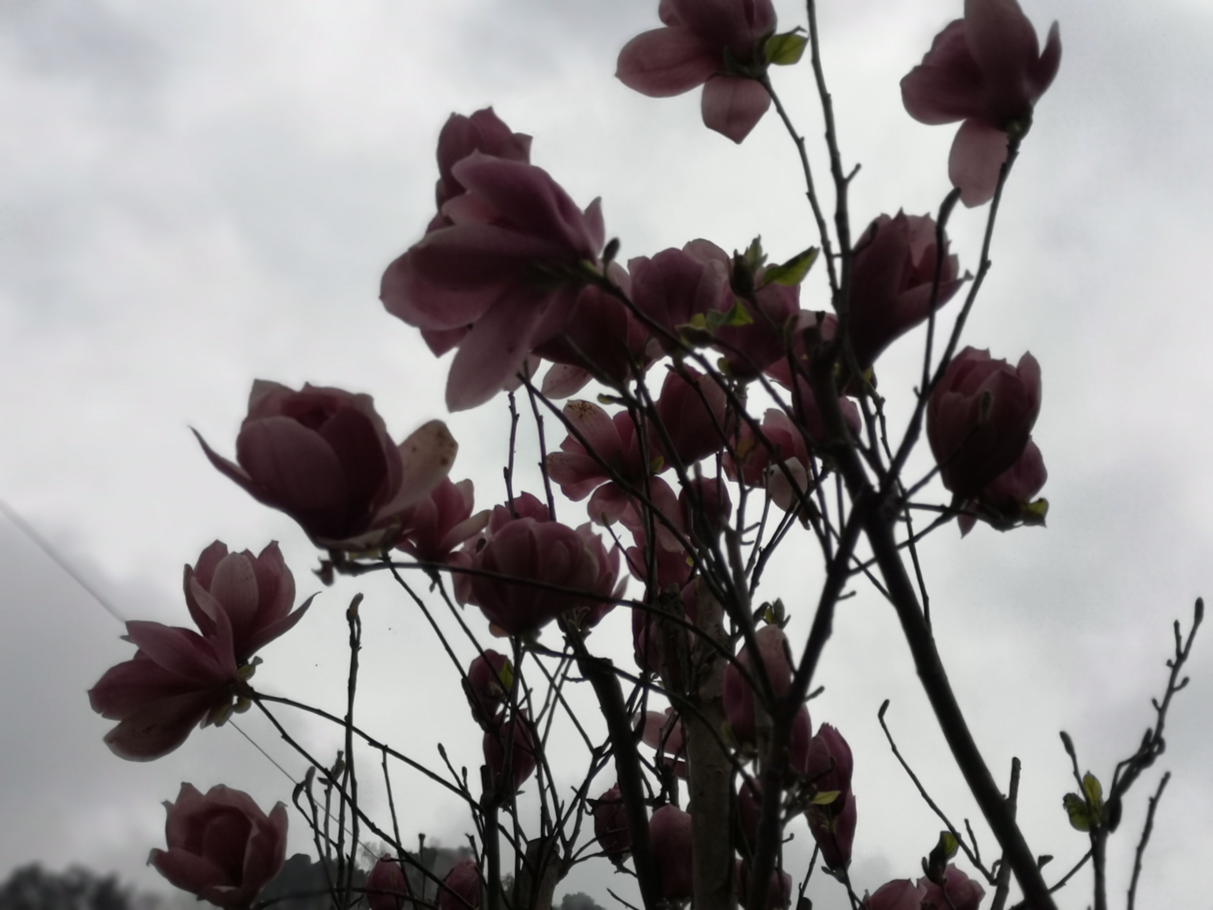 犯错是要付出代价,犯错会付出可怕的代价