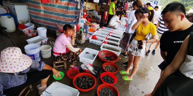 福州最便宜的海鲜渔村,福建海鲜最多的地方是哪里