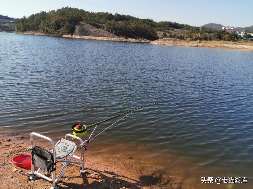 鱼不吃料有哪几种原因,鱼不吃饵最有效的方法