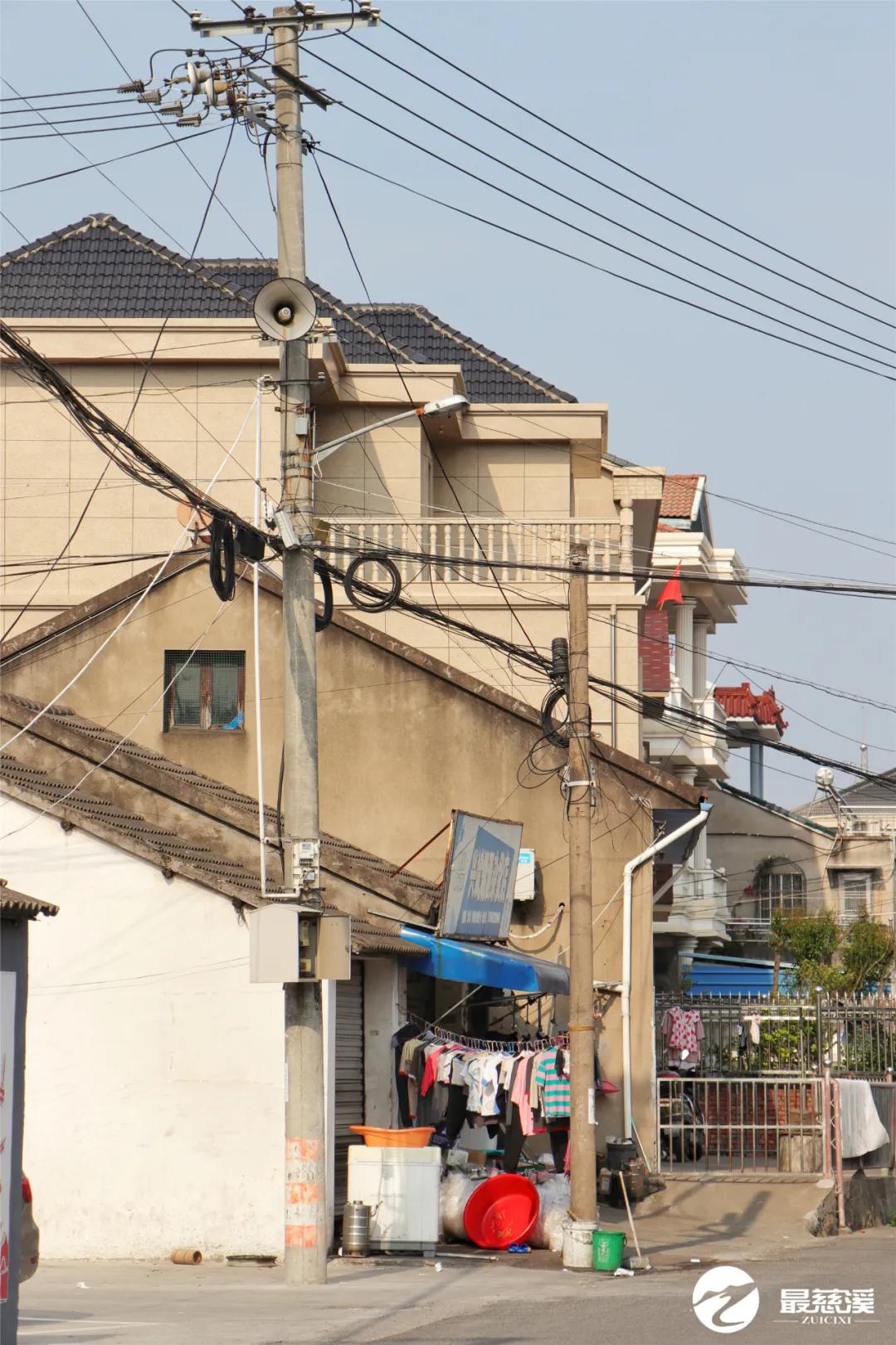 慈溪打听猫,慈溪要搬迁的村庄