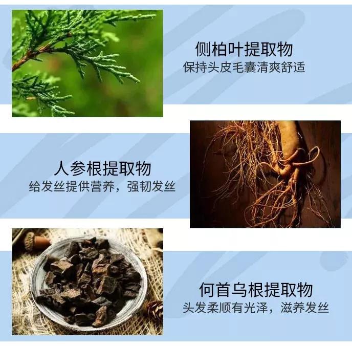 天天散着头发容易脱发吗,头发油了特别容易脱发