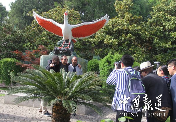 国宝朱鹮进入繁育季,国宝朱鹮