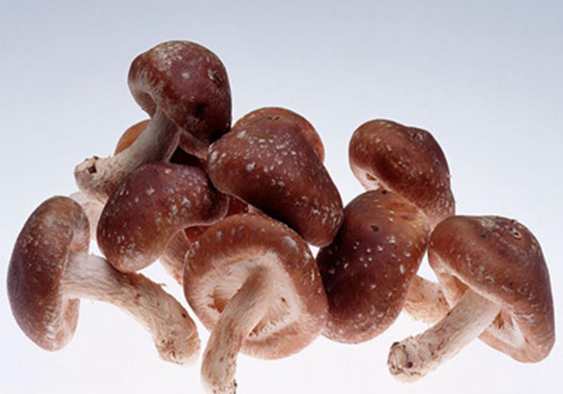 香菇种植怎么预防霉菌,香菇杂菌防治小妙招