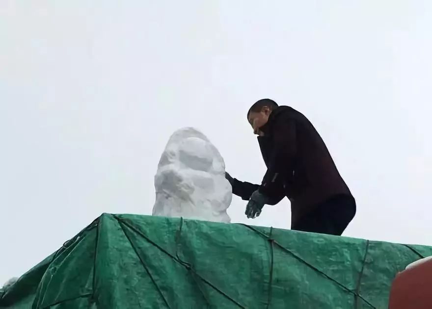 公园回应大妈路边卖雪,大妈卖雪5元一盆