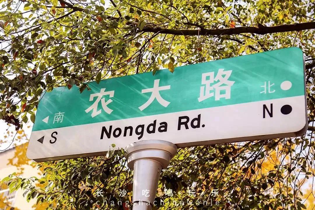 母校我想你,想你母校