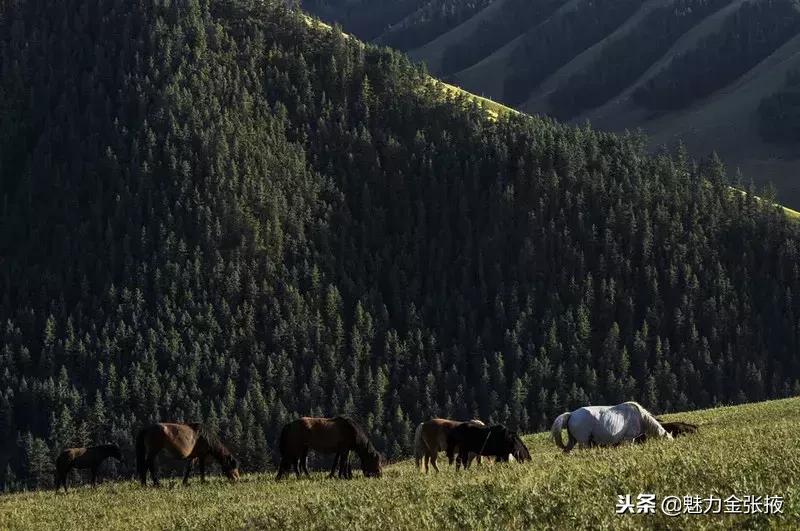张掖,一座被美景耽误了美食天堂!