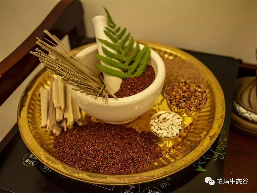 帕玛谷阿育吠陀基地,帕玛生态谷是什么