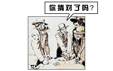 猫咪猜杯子游戏第三关 (猫咪口杯猜球游戏)