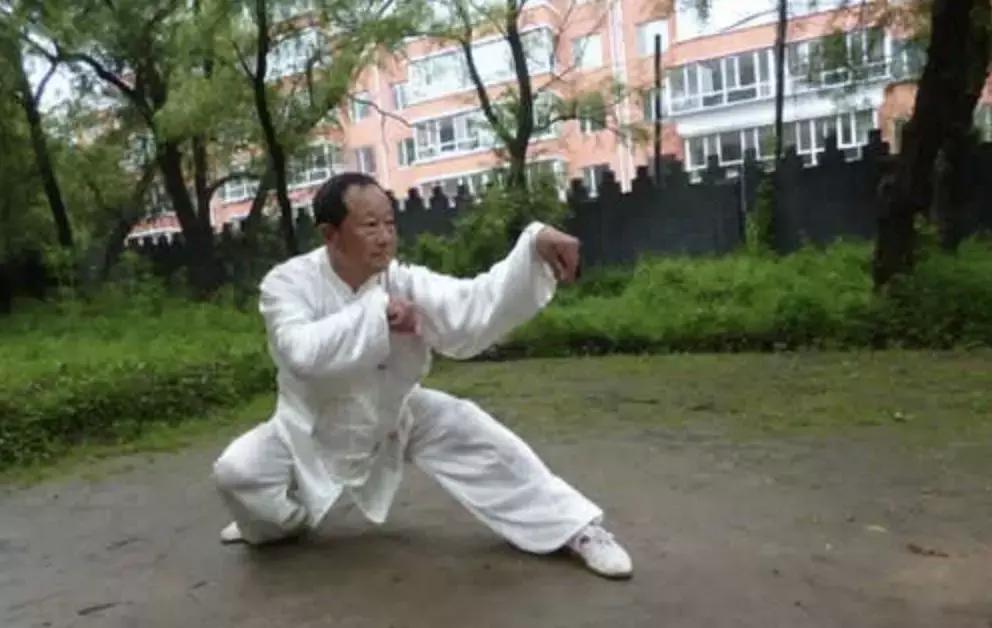 南拳的特点,南拳有什么流派