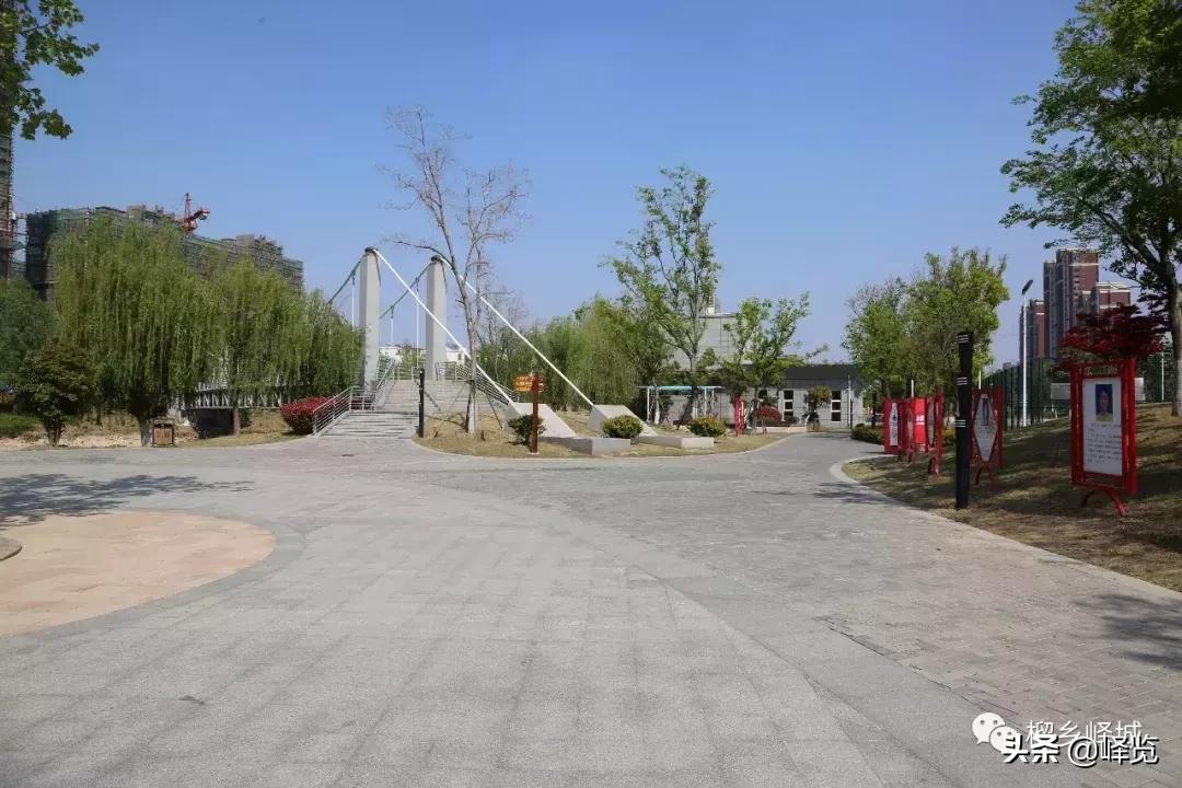 枣庄市党政考察团杭州行,临沂市考察团到济宁