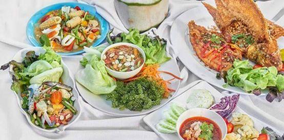 清迈大象义工,清迈大象救助营