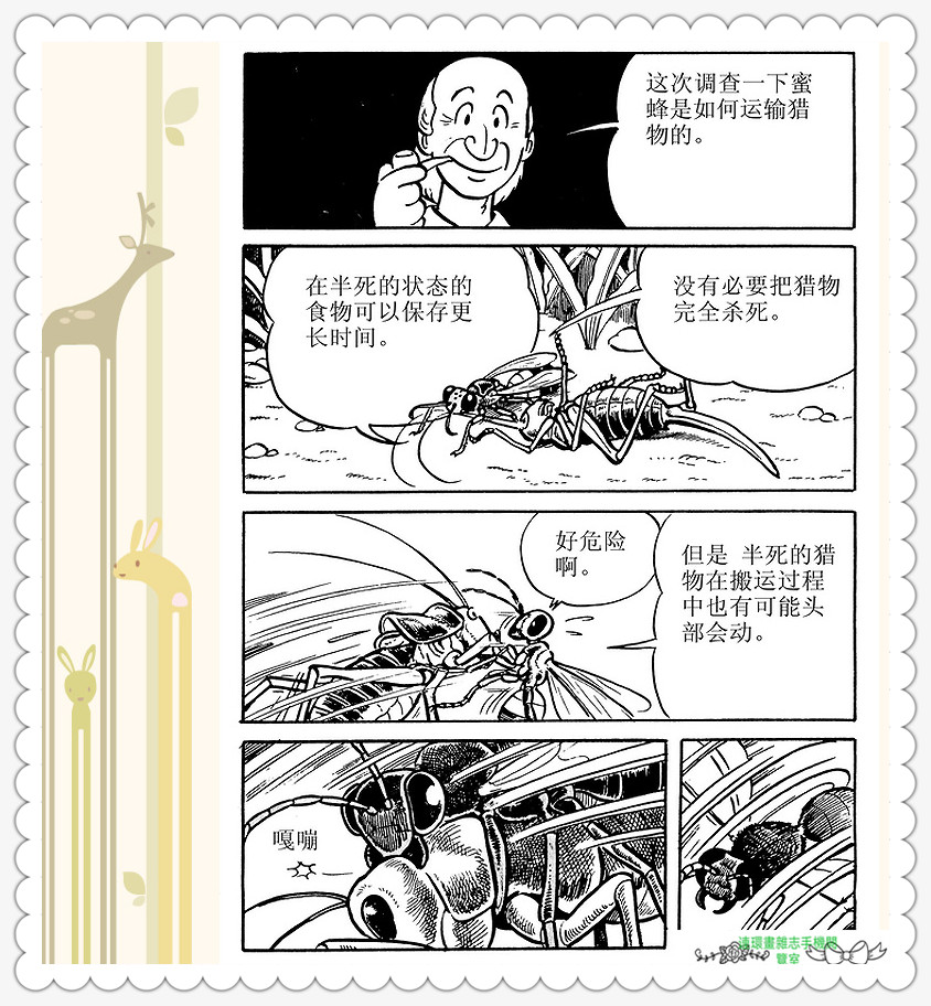 昆虫记法布尔动画片,昆虫记法布尔全套