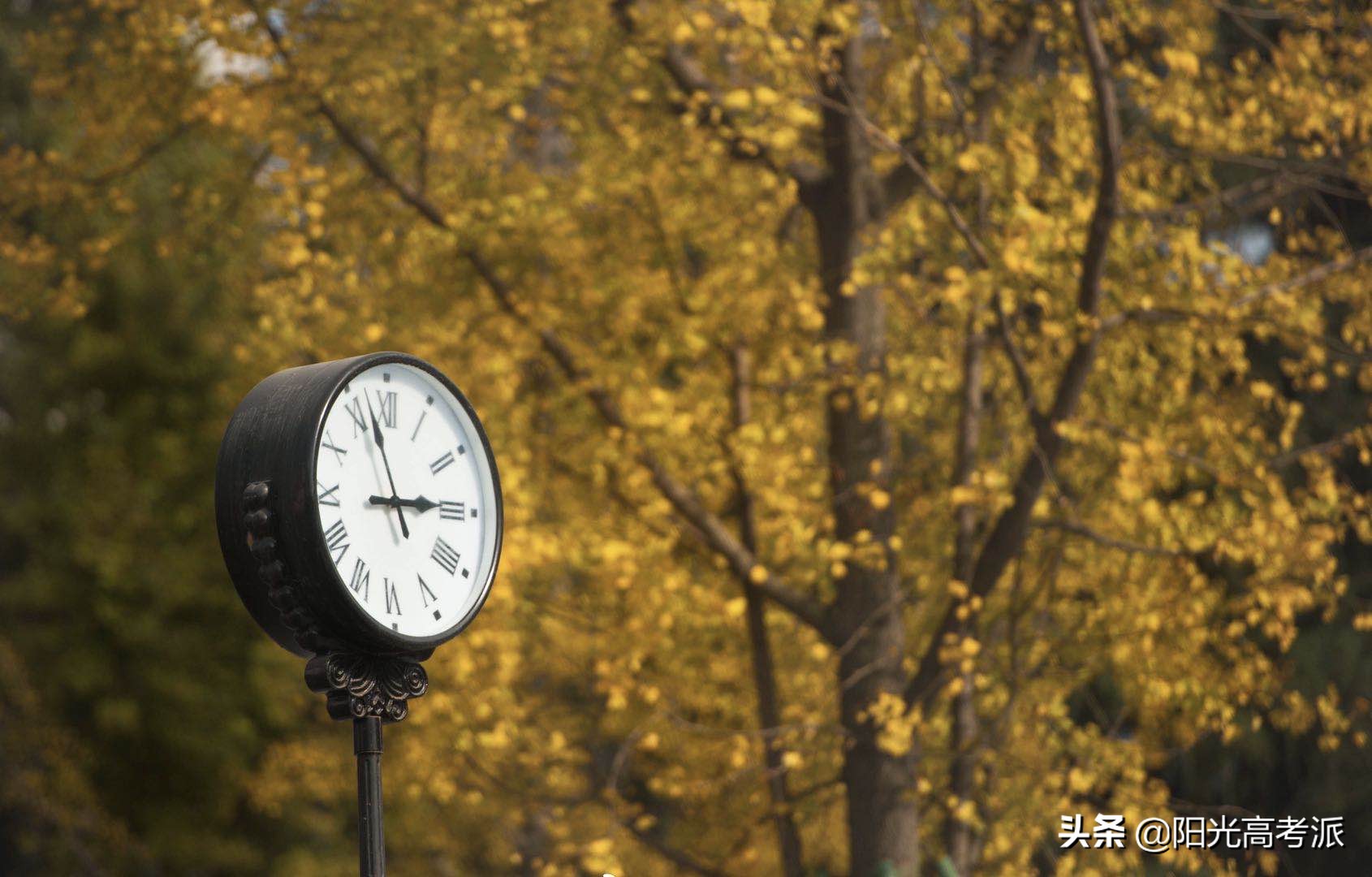 成都大学值得去吗,成都大学靠谱吗