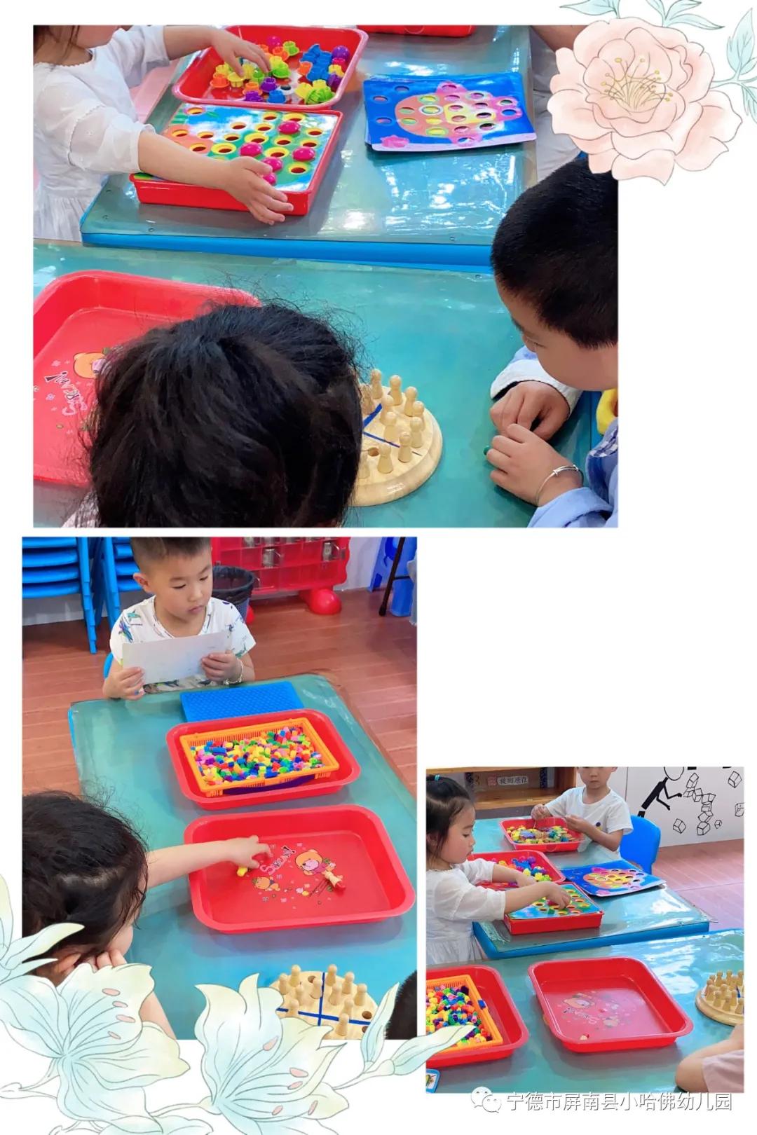 宁德小哈佛幼儿园,宁德蕉城区小哈佛幼儿园