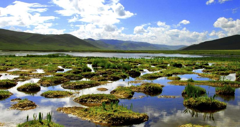 用一个成语代表一个省你都知道吗,全国每个省都有一个成语代表