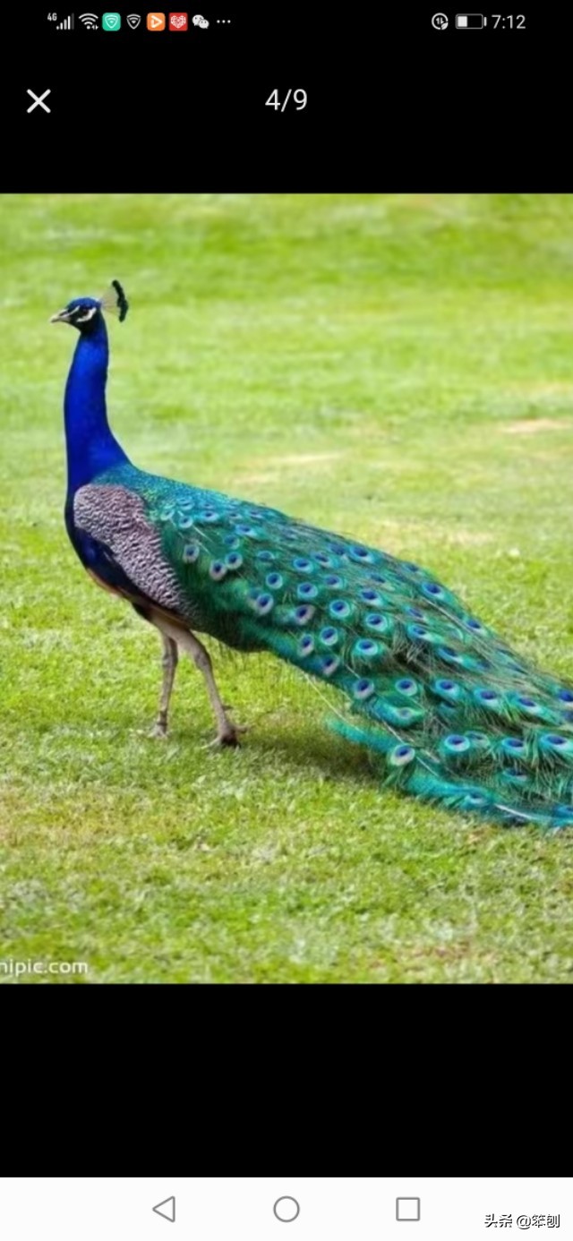 冷门养殖赚钱行业,冷门养殖好项目有哪些