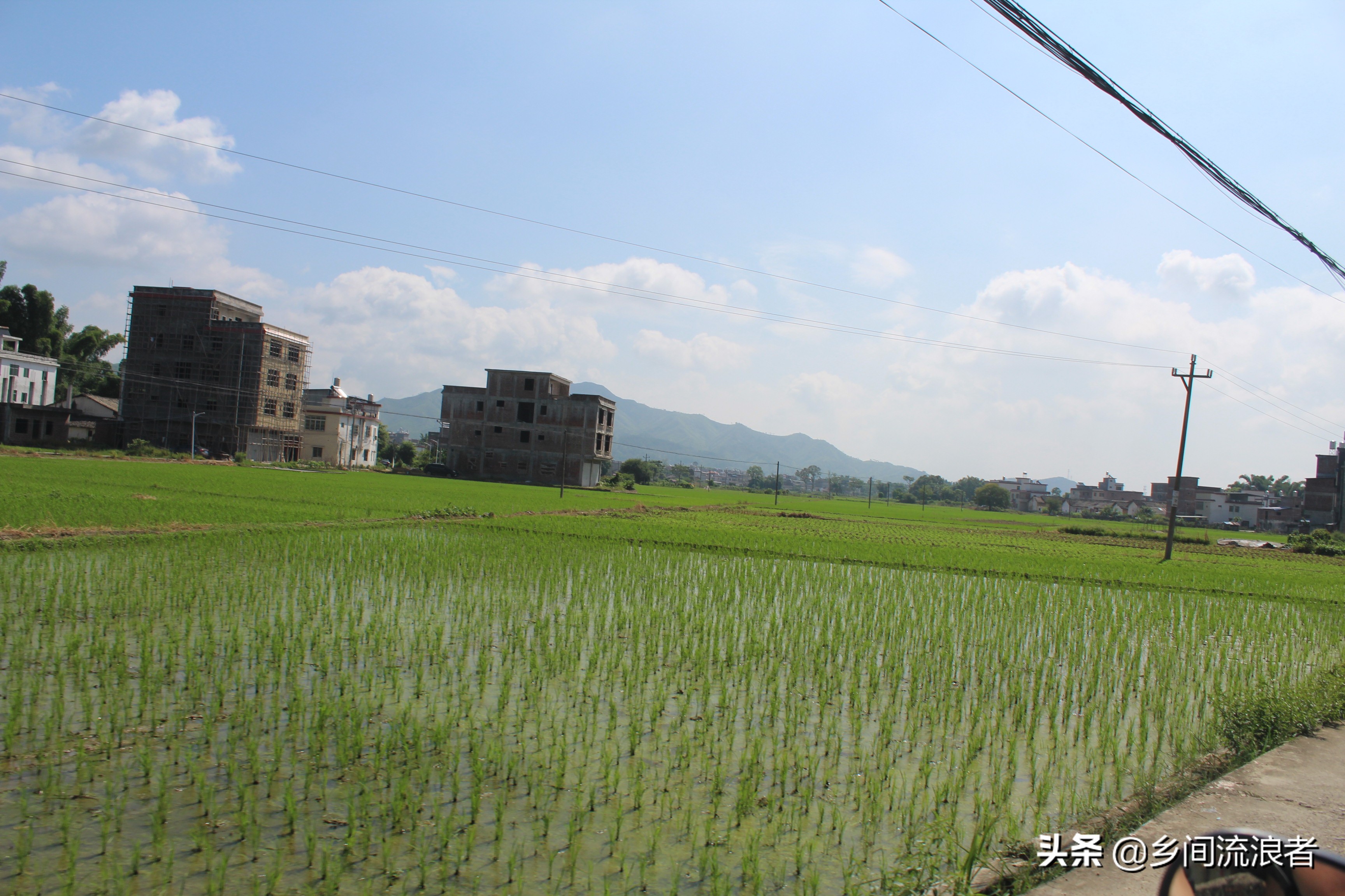 连平县忠信镇上坣村水背屋,连平县忠信镇上坣村图片