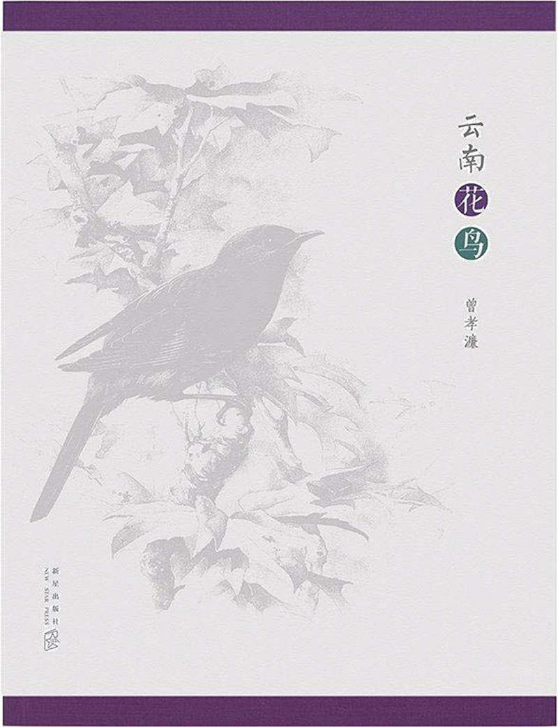 最好的鸟类图鉴,常见的鸟类图鉴