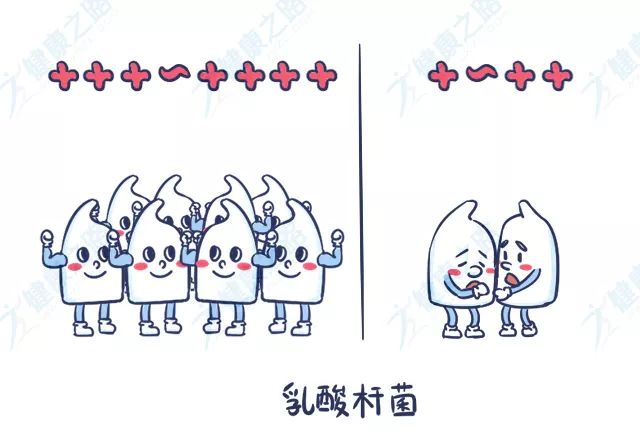 白带常规提示有炎症怎么办,白带常规怎么分辨是什么炎症